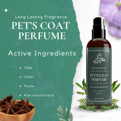 Pet Coat Perfume | Sage Cedar Thyme