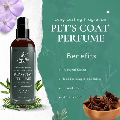 Pet Coat Perfume | Sage Cedar Thyme