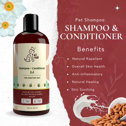 Shampoo + Conditioner | 2in1