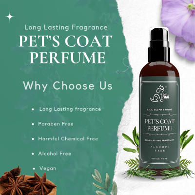 Pet Coat Perfume | Sage Cedar Thyme